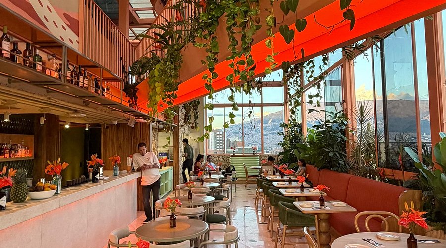 Palma Pitón restaurant in Medellín — tropical plants, warm lighting, and floor-to-ceiling windows with mountain views